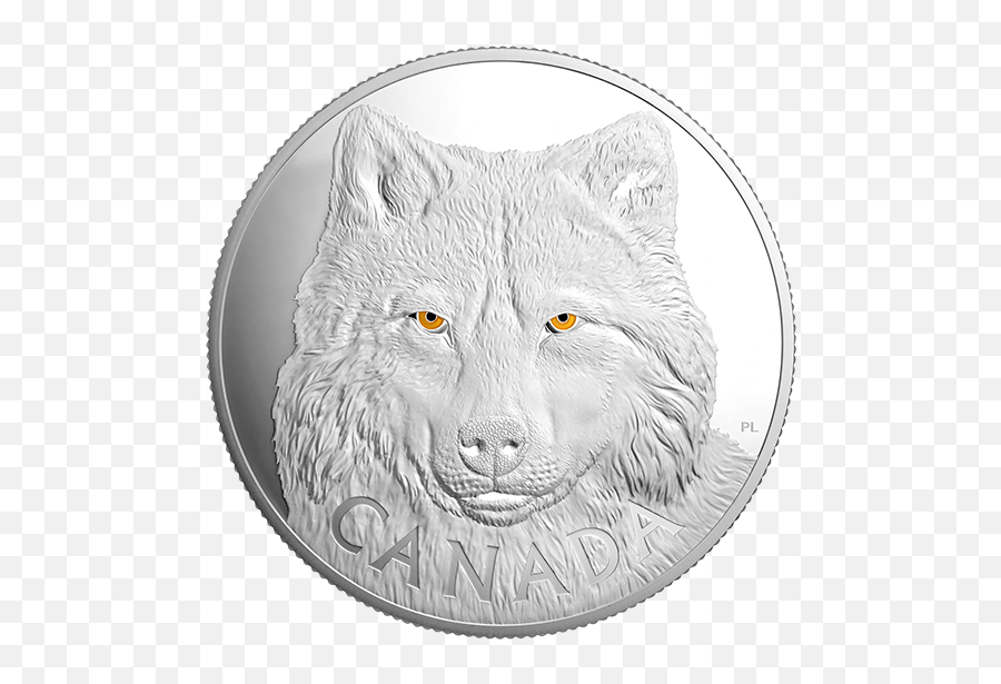 Pure Silver One - Auge Des Wolfs Silber Png,Wolf Eyes Png