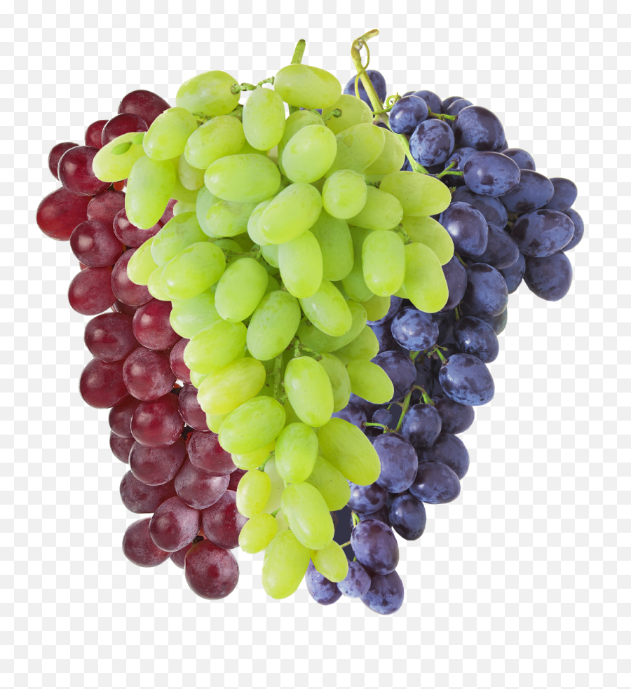 Grapes Crownjewels - Diamond Png,Grapes Transparent