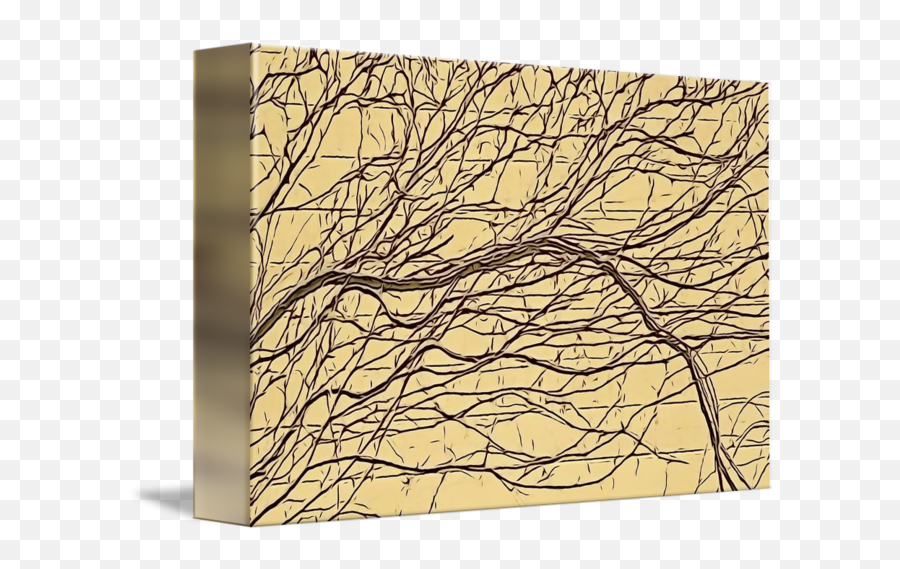 Bare Ivy Vines - Tree Png,Wall Vines Png