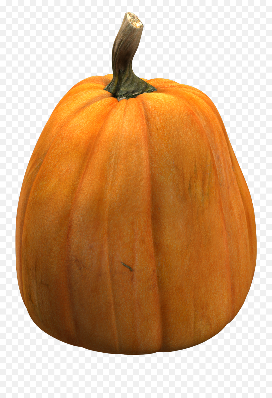 Calabaza Anaranjado Naranja Pumpkin - Gourd Png,Calabaza Png