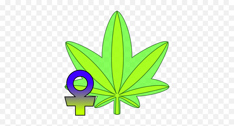 Feminized Cannabis Seeds - Hemp Png,Usps Icon