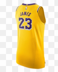Lakersstore Png Icon Anthem 2 Mesh Jacket