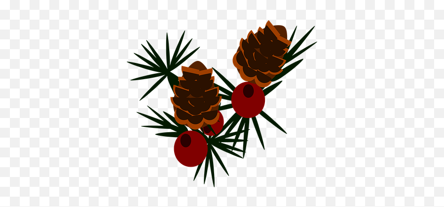 70 Free Pine Cone U0026 Christmas Illustrations - Ponderosa Pine Png,Pine Cone Icon