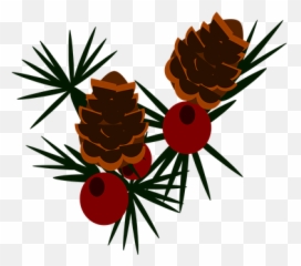 70 Free Pine Cone U0026 Christmas Illustrations - Ponderosa png