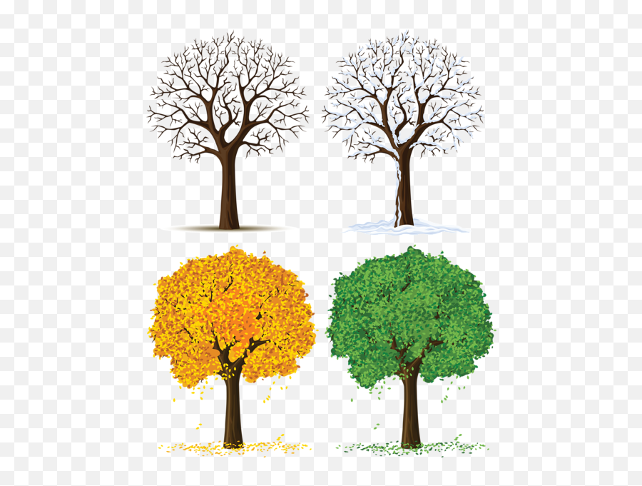 Four Seasons Trees Png Clipart Strom