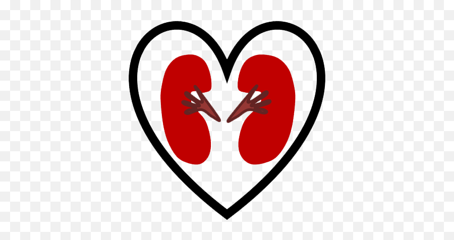 Impact Caresyan - Language Png,Kidney Icon