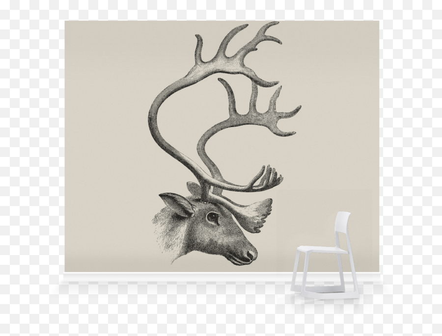 The Caribouu0027 Wallpaper Mural Surfaceview - Drawing Png,Caribou Png