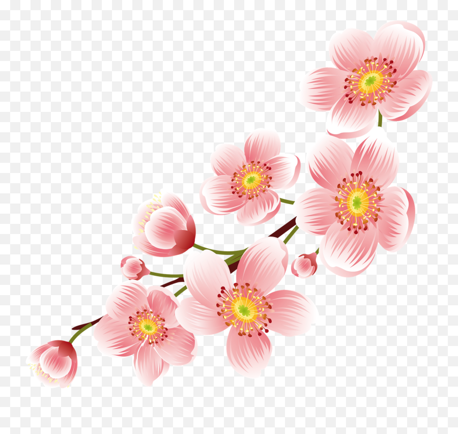 Sfcp35 Sakura Flower Clipart Pictures Big Hd - Transparent Background Pink Flower Png,Flower Cartoon Png