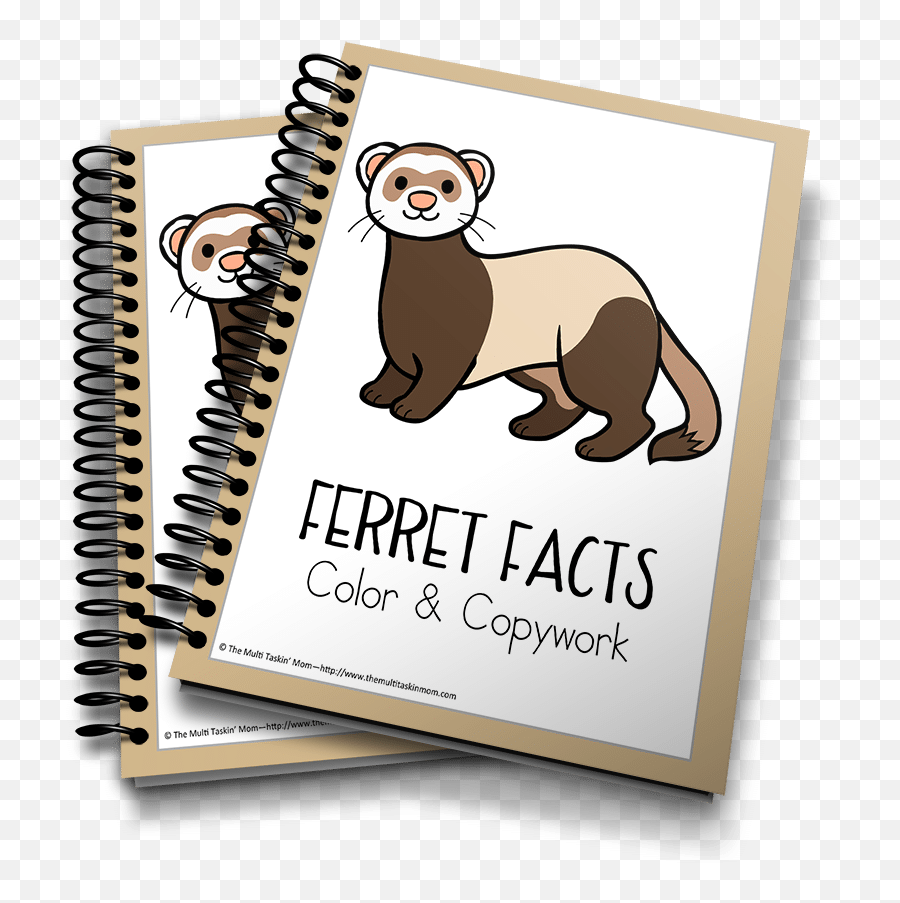 Ferret Facts Color U0026 Copywork - The Multi Taskinu0027 Mom Jonah And The Whale Mini Book Png,Ferret Png