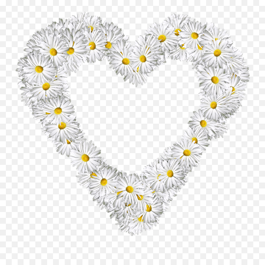 White Flowers Heart Png Image - White Flower Heart Png,White Flower Png