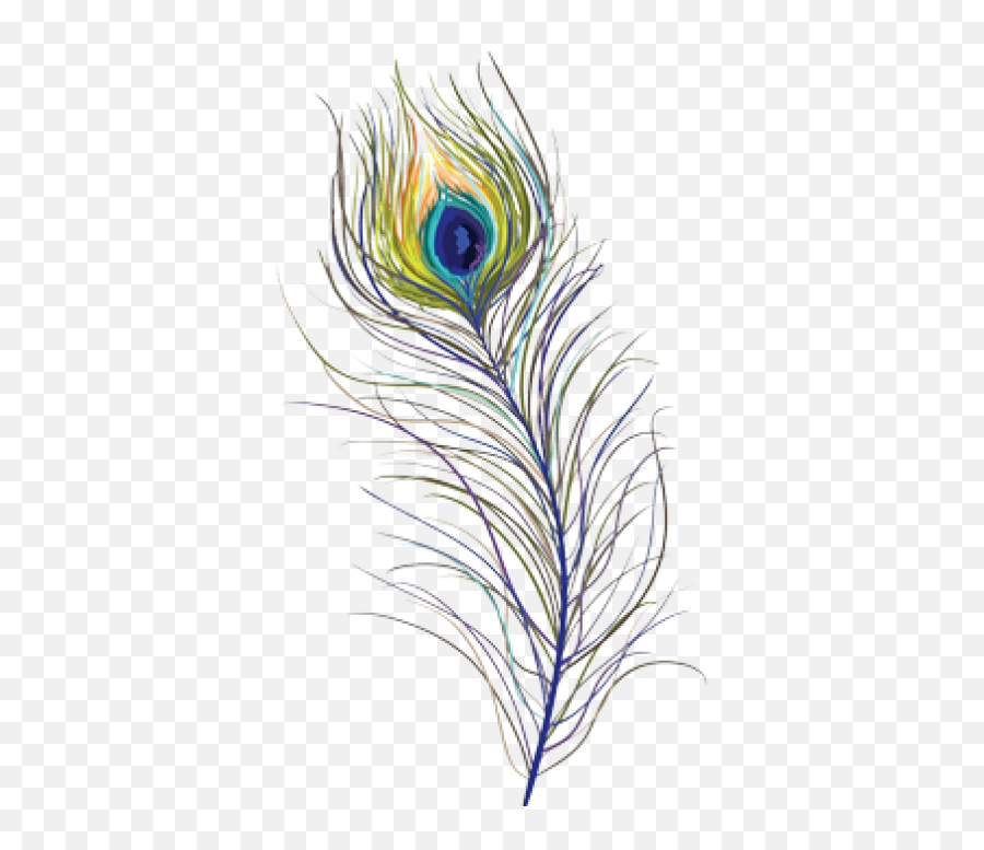 Peacock Feather Free Png Transparent - Transparent Peacock Feather Png,Peacock Feathers Png
