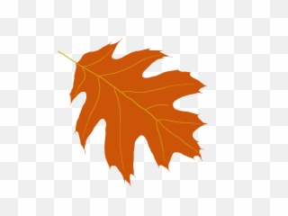 Oak Tree Silhouette - HD Png Download Original Size Leaf Clipart
