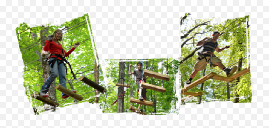 Tree Top Adventure Ropes Course In Sevierville Tn - Tree Png,Tree Top Png