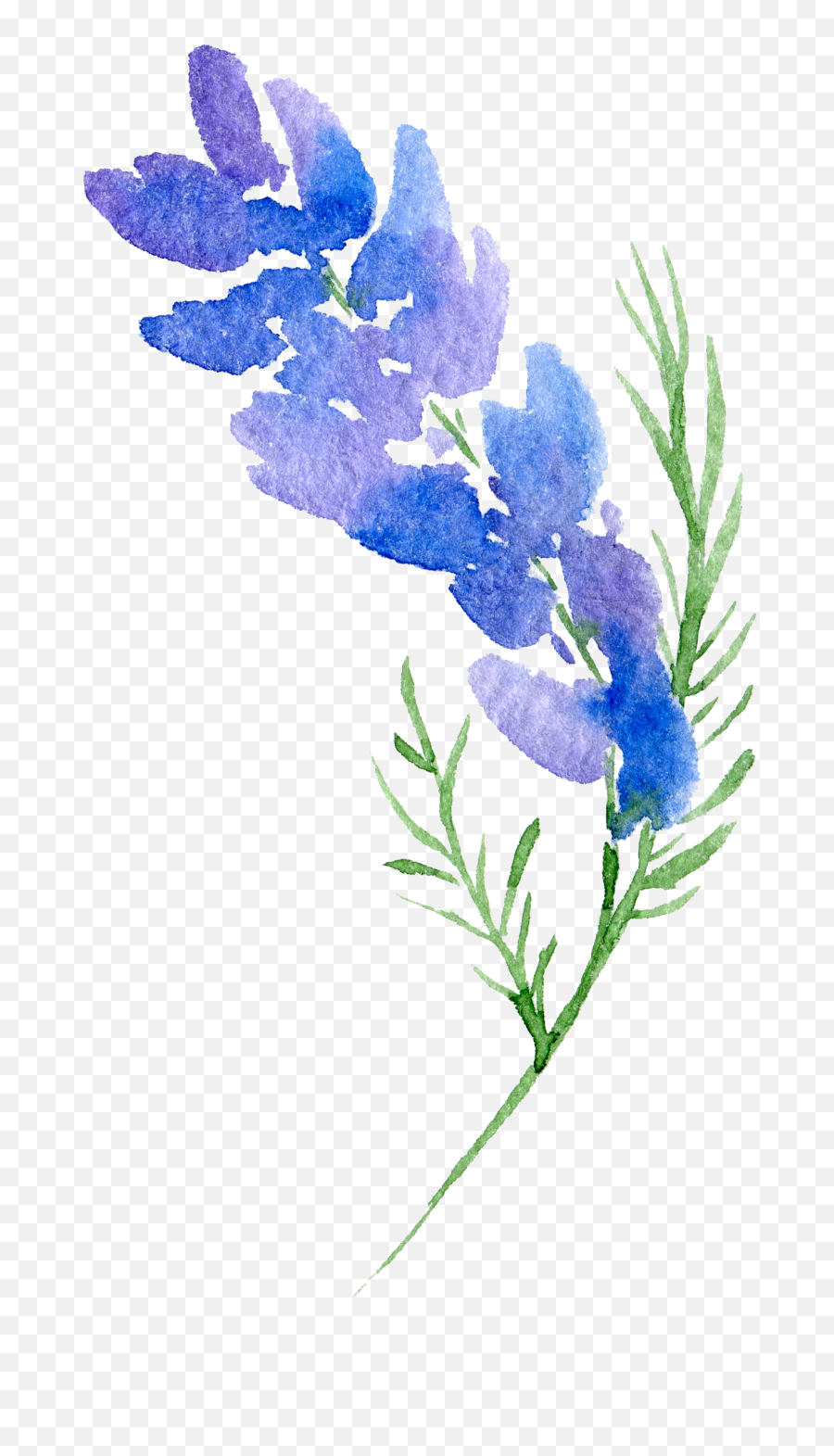 Floral Design Flower Watercolor - Transparent Transparent Background Flower Png,Watercolor Flowers Transparent Background