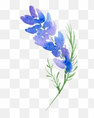 Floral Design Flower Watercolor - Transparent Background Png