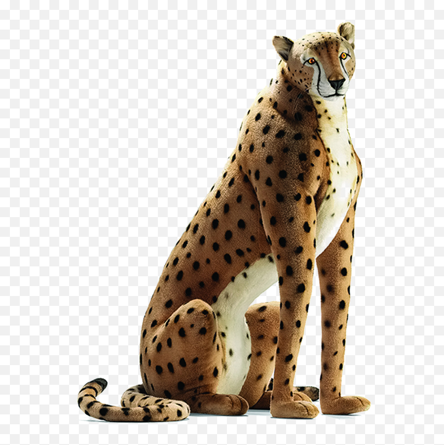 Sitting Cheetah Transparent Image - Life Size Realistic Stuffed Animals Png,Cheetah Transparent