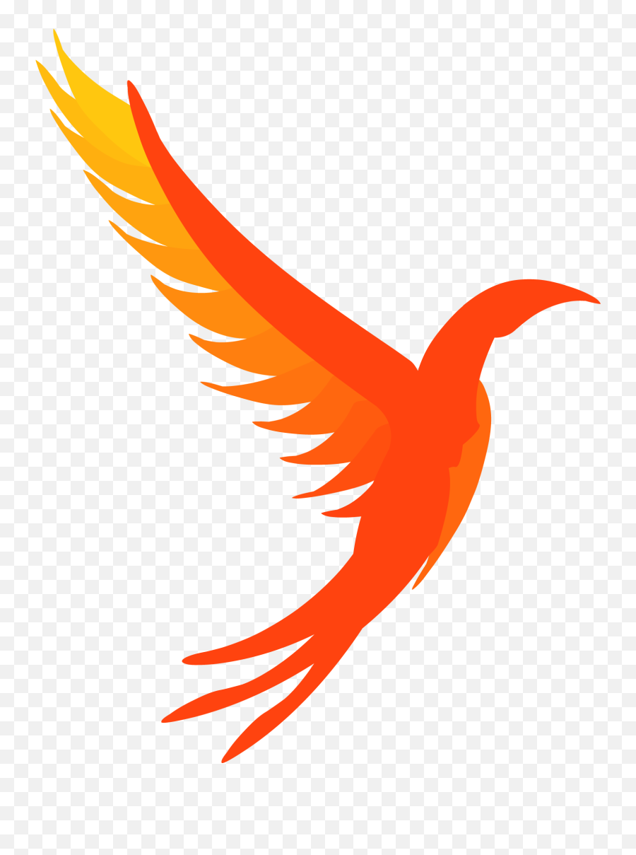 Phoenix Bird Logo Png - Illumos Png,Phoenix Png