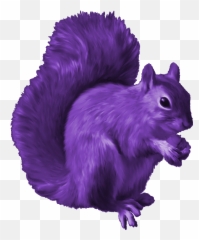Tupai Png Transparent Image - Free Clip Art Squirrel,Squirrel Clipart Png