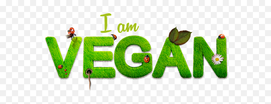 Vegan Psd Healthy - Free Image On Pixabay Im Vegan Png,Vegan Logo Png