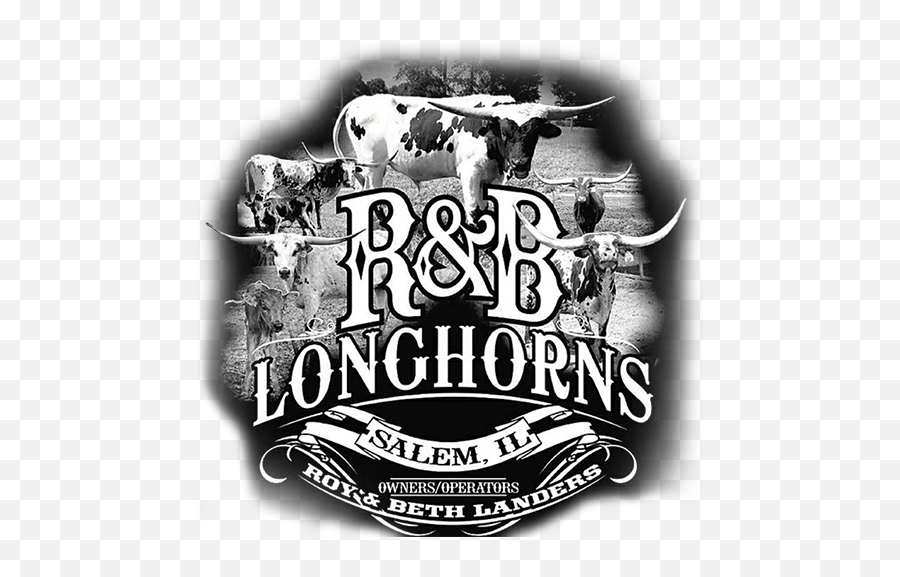 R And B Longhorns - Language Png,Longhorn Logo Png