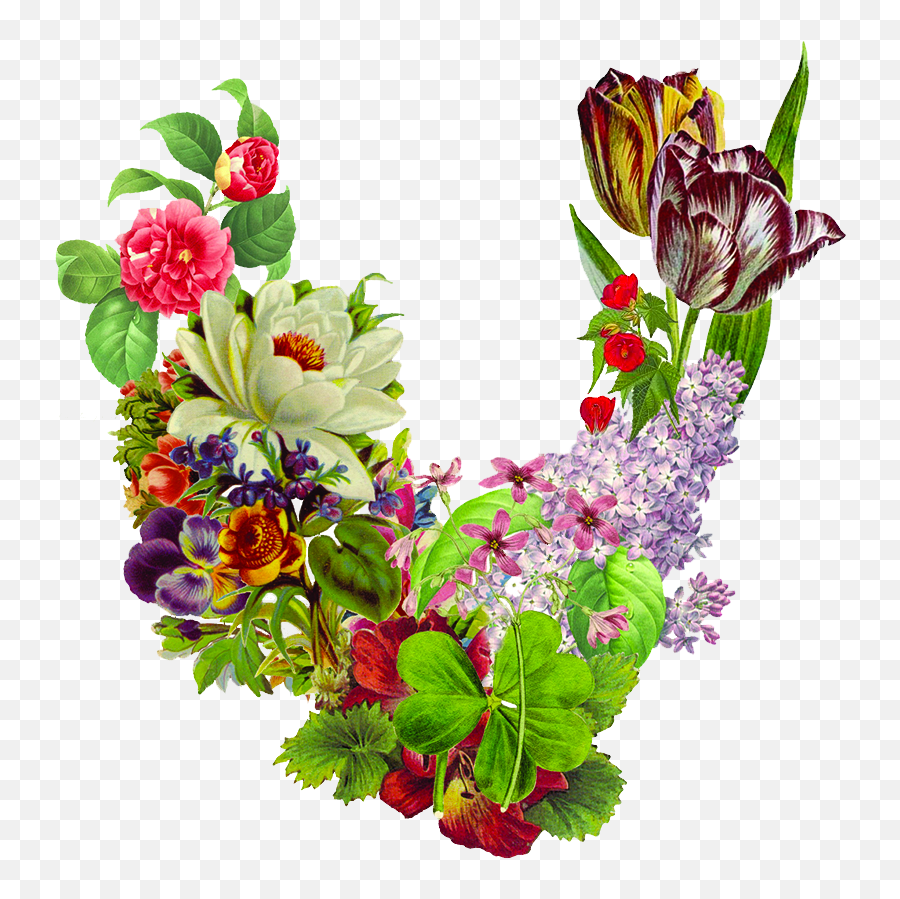 Odell Beckham Jr With Local Style Leader Valerie Julian - Bouquet Png,Odell Beckham Jr Png