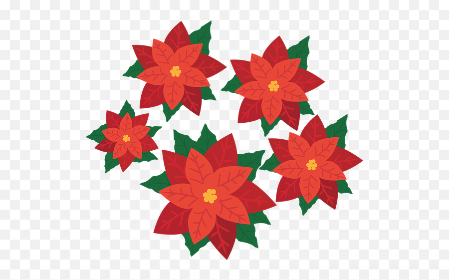 Over 30 Free Poinsettia Vectors - Clipart Poinsettia Flowers Png,Poinsettia Icon Png