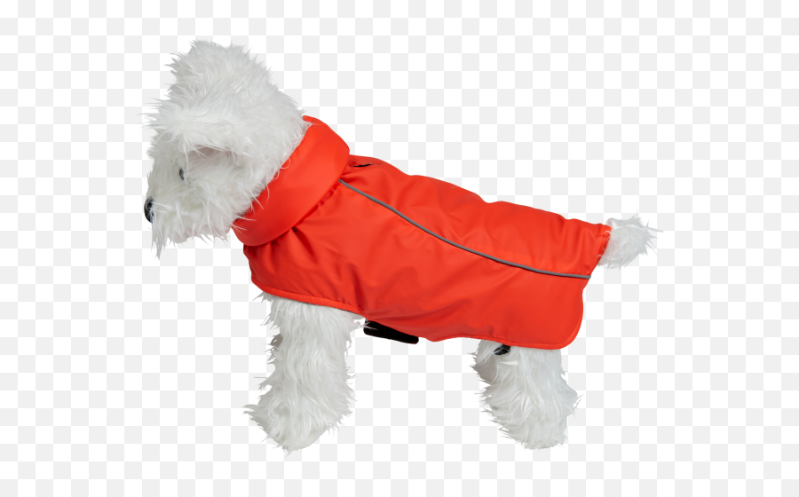 Fashion Clothes For Dogs - My Pet Infinity Fifty Srl Dog Clothes Png,Fashion Icon Adelle 100 Years Old