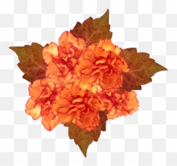 Orange Flowers Png