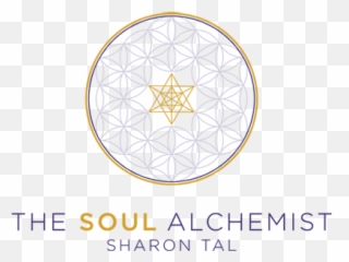 Pet Healing - The Soul Alchemist Circle Png,Healing Logo