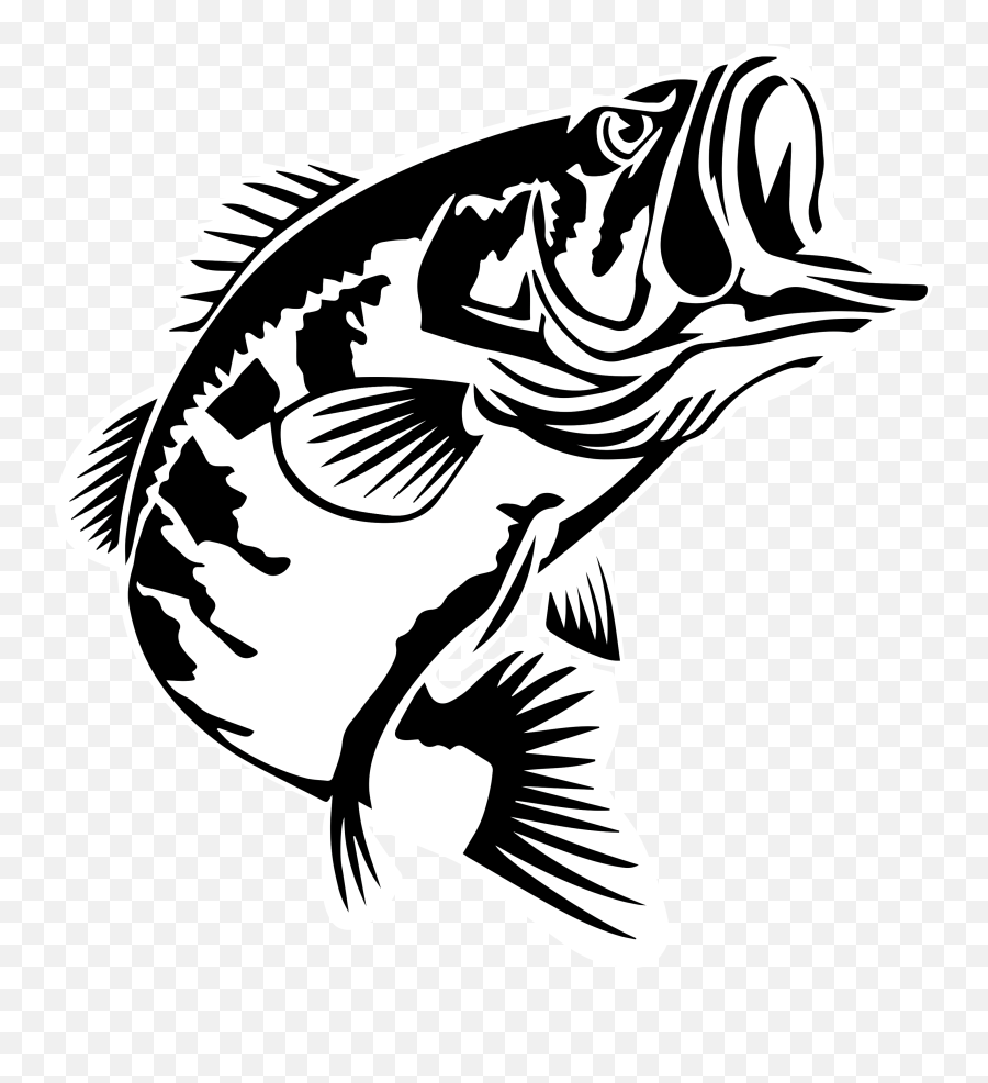 Bass Fishing Largemouth 2016 - Bass Fish Black And White Png,Bass Fish Png