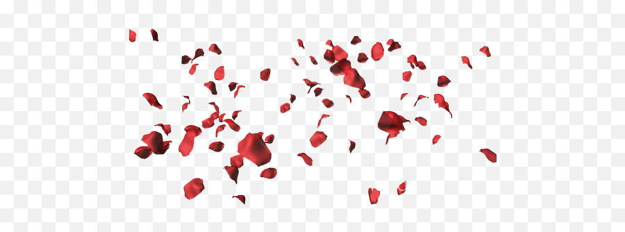 Falling Rose Petals Png Download - Loves Me Not Loves Me Red Petals Falling Png,Rose Petals Transparent Background