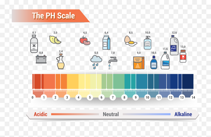 Download Hd Affordable Ph Scale Litmus Paper Color Chart - Alkaline Meter Png,Royalty Png