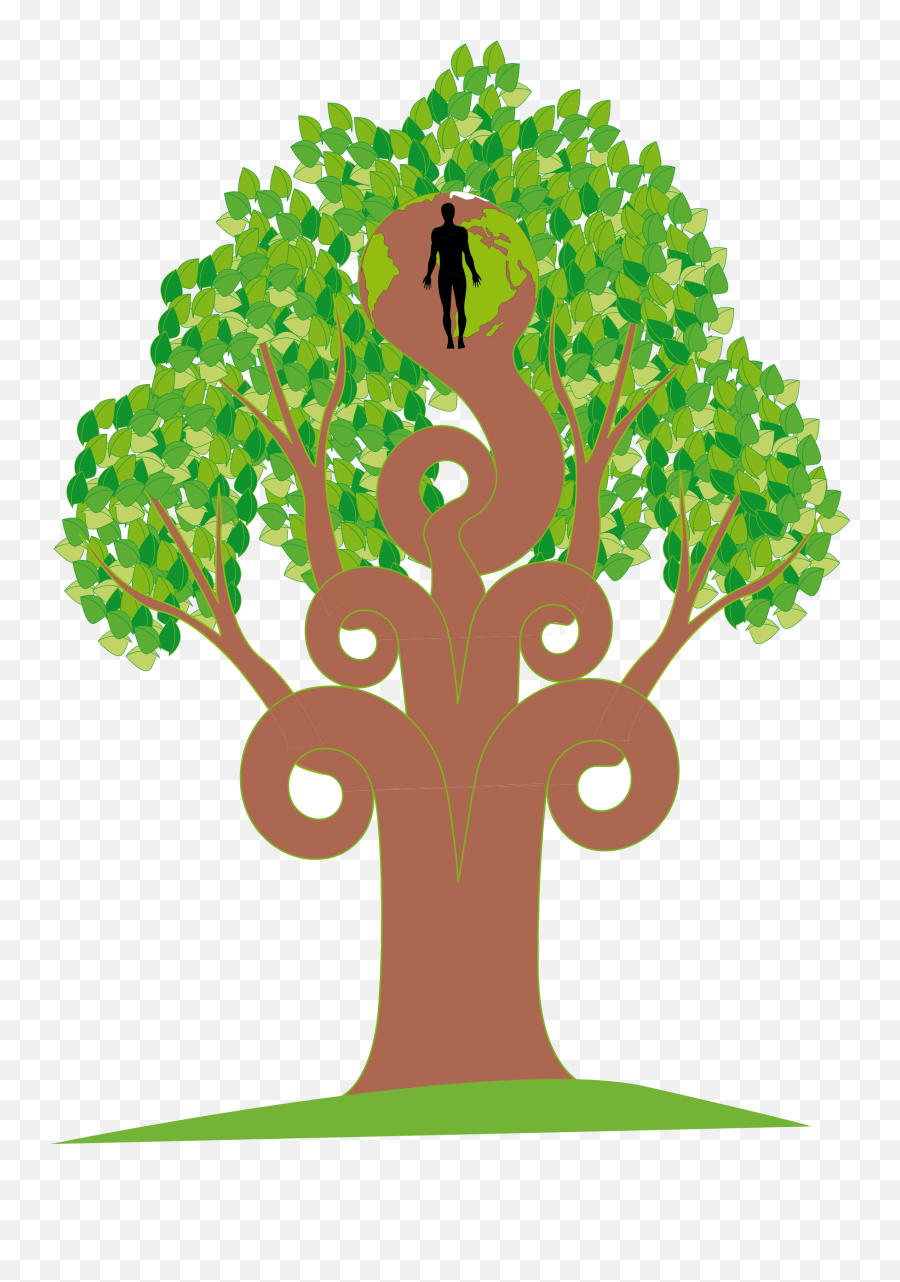 Library Of Lime Tree Picture Stock Png Files - Clip Art,Lemon Tree Png