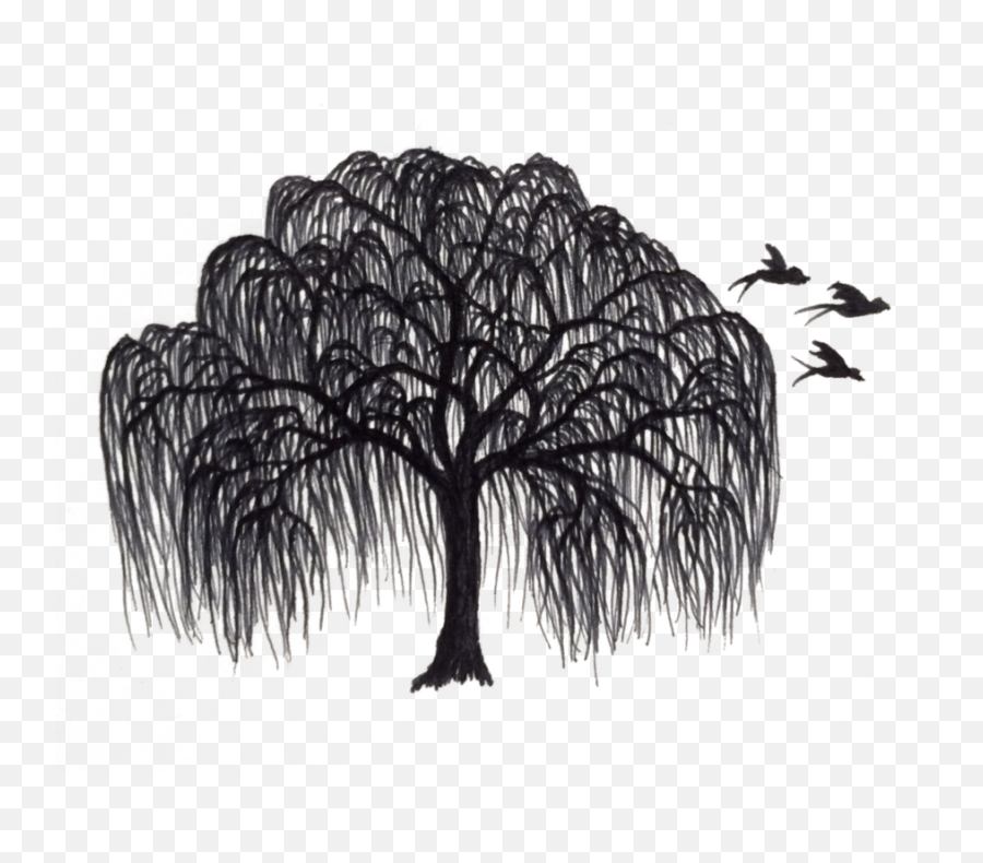 Black And White Willow Tree Clipart - Willow Tree Silhouette Png,Willow Tree Png