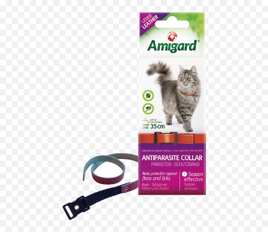 Amigard Antiparasite Flea U0026 Tick Collar For Cats 35cm - Siberian Forest Cat Vs Norwegian Forest Cat Png,Collar Png