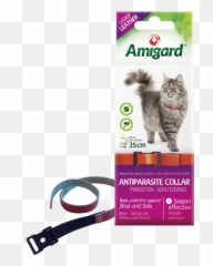 Amigard Antiparasite Flea U0026 Tick Collar For Cats 35cm - Siberian Forest Cat Vs Norwegian Forest Cat Png,Collar Png