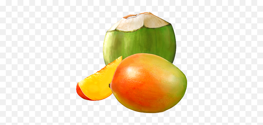 Vector Mango Png - Coco Mango Png,Mango Transparent Background