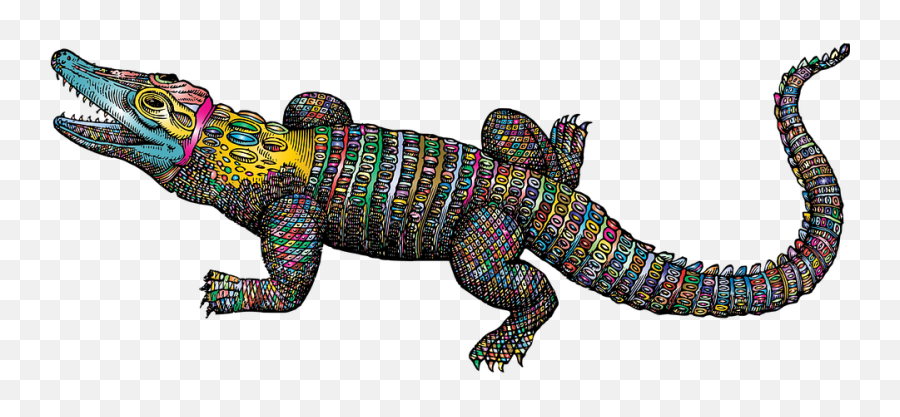 Crocodile Alligator Line Art - Free Vector Graphic On Pixabay Cartoon Crocodile Png,Crocodile Png
