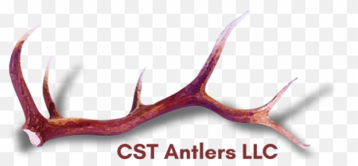 Free Transparent Antlers Png Images Page 1 Pngaaa Com - pink antlers roblox