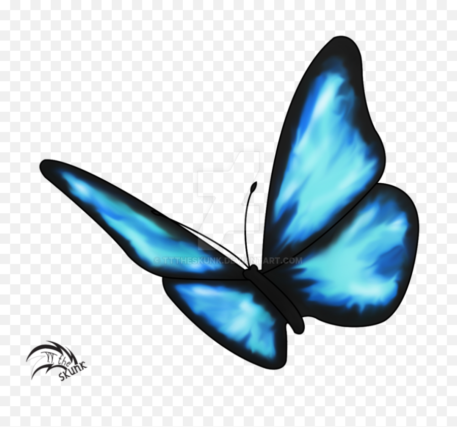 Butterflies Transparent Real Life - Blue Butterfly Drawing Png,Real Butterfly Png