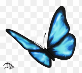 Butterflies Transparent Real Life - Blue Butterfly Drawing Png