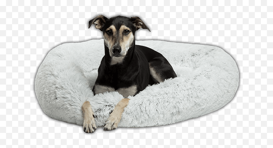 The Calming Bed Anti - Anxiety Dog Bed Best Friends By Sheri Donut Shag Bed Png,Doggo Png