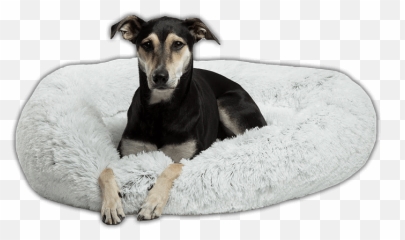 The Calming Bed Anti - Anxiety Dog Bed Best Friends By Sheri Donut Shag Bed Png,Doggo Png