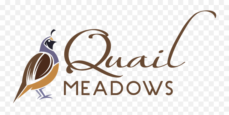 Quail Meadows - Calligraphy Png,Quail Png