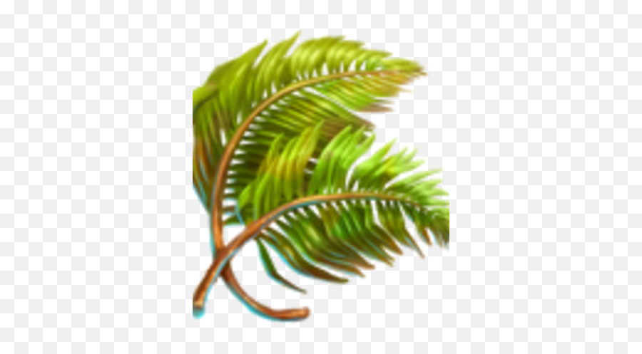 Palm Leaf - Attalea Speciosa Png,Palm Leaf Png