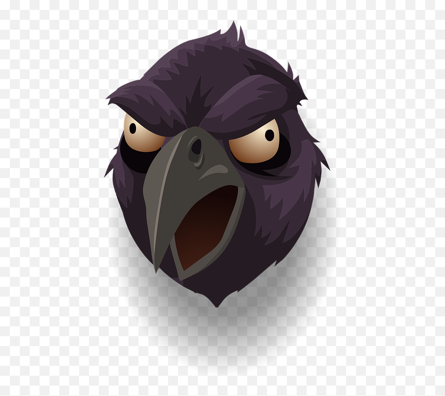 Raven Head Bird - Free Vector Graphic On Pixabay Cartoon Raven Png,Black Feather Png