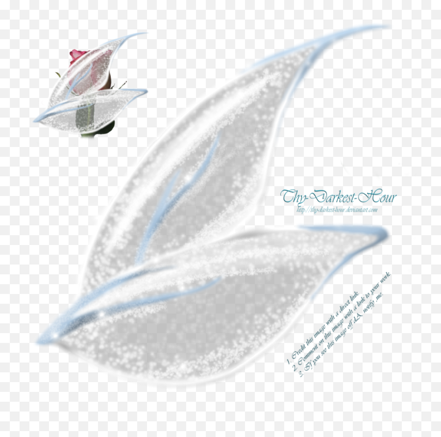 Fairy Wings Side View Png - Fairy Wings Transparent Background Side,Fairy Wings Png