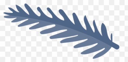 Pine Tree Branch Element - Transparent PNG u0026 SVG vector file Illustration
