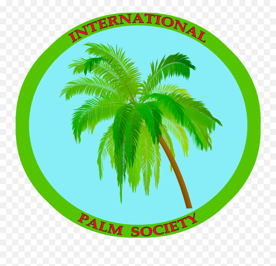 Blue1280 - 3 Coconut Tree 1280x1126 Png Clipart Download Coconut Tree,Coconut Tree Png