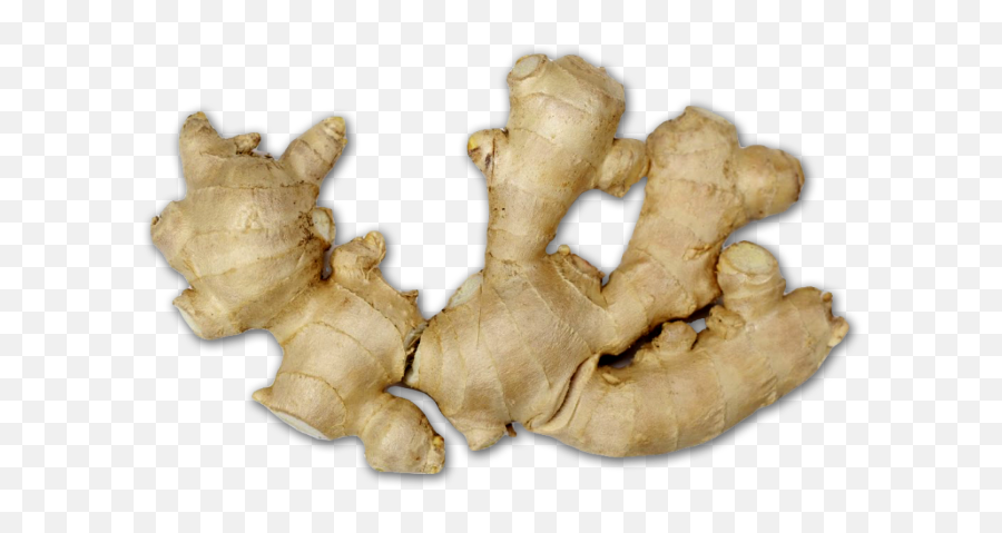 Ginger Png - Ginger,Ginger Png